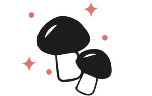 Setas de temporada, micologia en Gastro Tasquita Soria, comer en soria